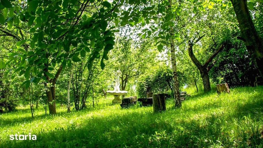 Teren de 14000 mp, în Mihai Viteazu