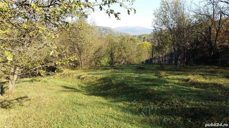 Teren de 2280 mp, în Cerașu