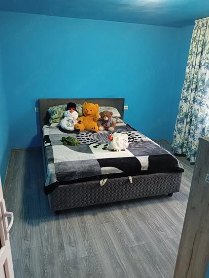 Casă cu 2 camere cu Teren 300 Mp în Bârnova