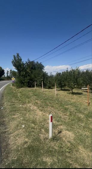Spațiu comercial, în Nisipurile