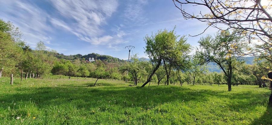 Teren agricol extravilan de 4445 mp, în Nucșoara