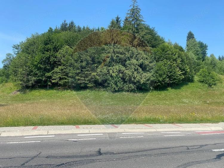 Teren Extravilan 4,306 mp in Vama Buzaului la Strada Principala - 3