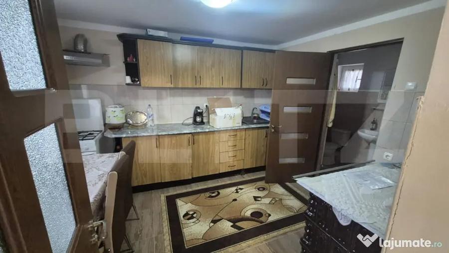 Casă cu 2 camere cu Teren 2910 Mp în Viile Satu Mare