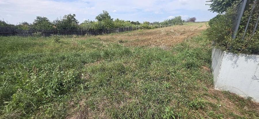 Teren de 1267 mp, în Lețcani