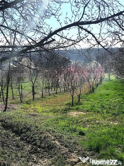 Teren în Voinești