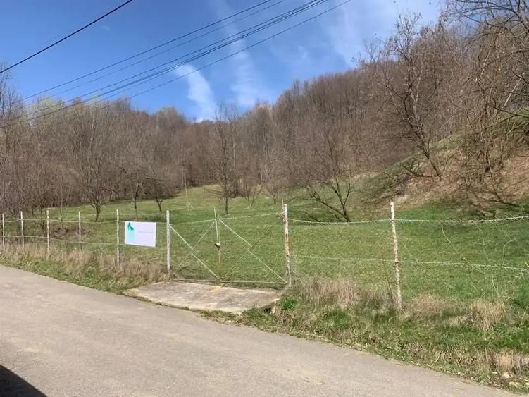Teren intravilan de 5500 mp, în Provița de Sus