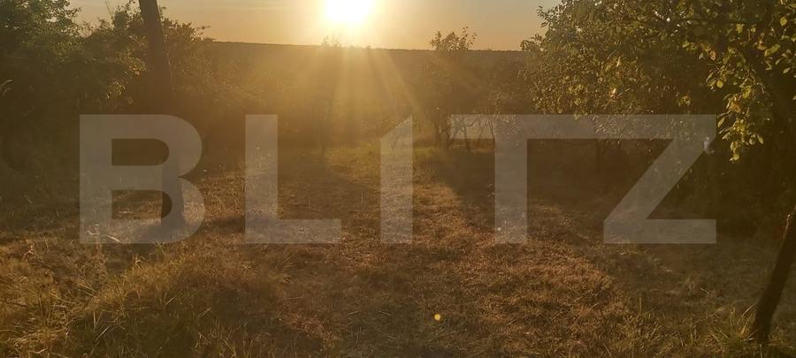 Teren Construcții intravilan de 2493 mp, în Cobiuța