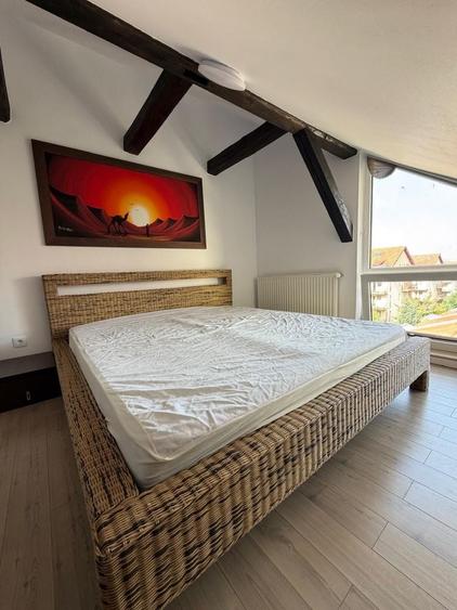 Apartament cu 3 camere semidecomandat în Dosu Bricii
