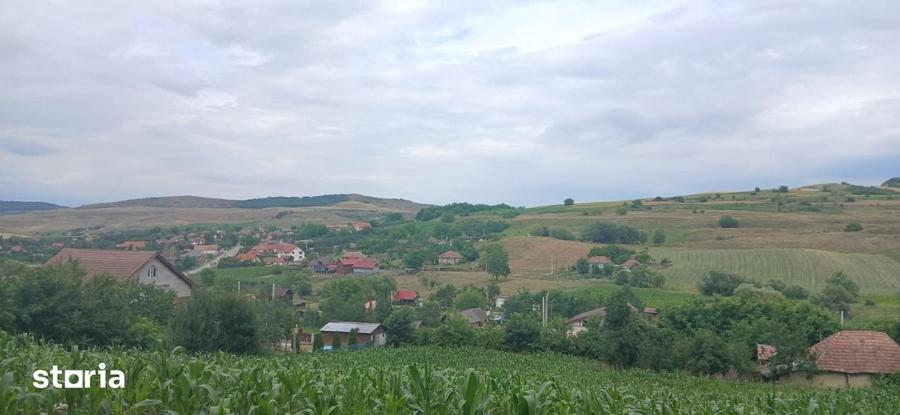 Casă cu 2 camere cu Teren 7000 Mp în Central
