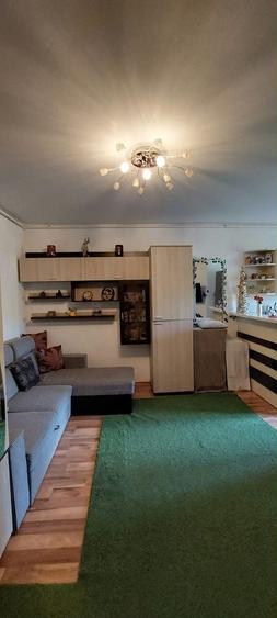 Apartament cu 2 camere în Săldăbagiu de Munte