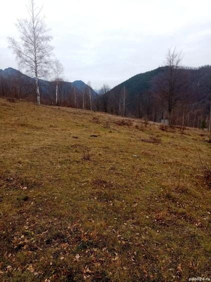 Teren de 10000 mp, în Lepșa