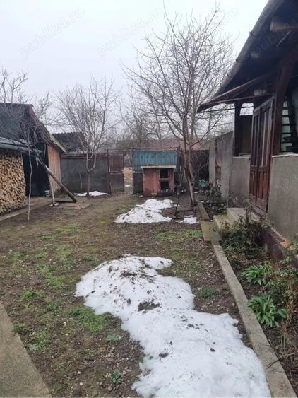 Casă cu 3 camere cu Teren 1800 Mp în Buteni