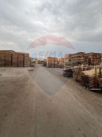 Spațiu industrial de 7,756mp de vânzare - 11