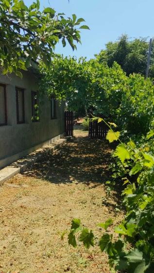 Casă cu 4 camere cu Teren 700 Mp în Ograda