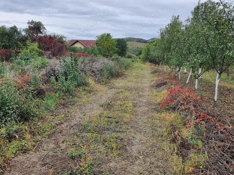 Teren de 1200 mp, în Goranu