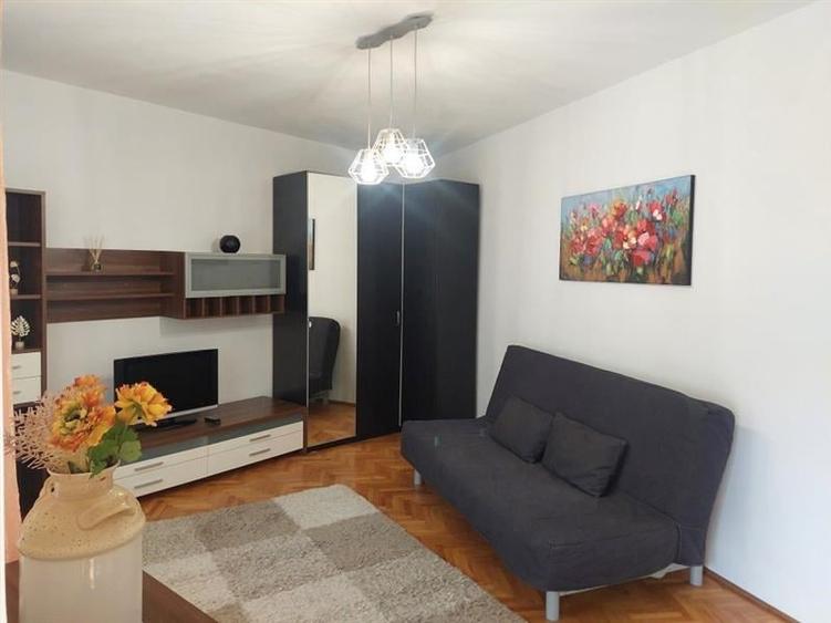 Garsoniera deschisa si la regim hotelier, priveliste frumoasa, pet friendly, loc - 8