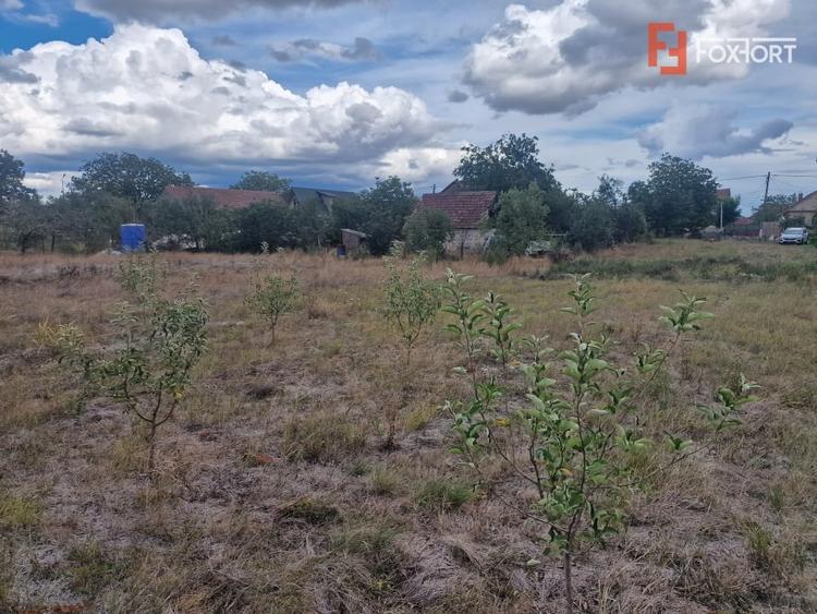 Teren Construcții intravilan de 1493 mp, în Ianova