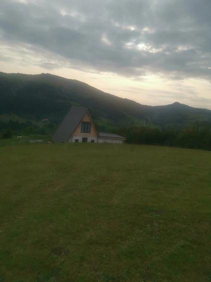 Teren de 9957 mp, în Mogoș