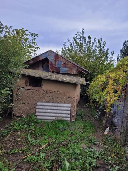 Casă cu Teren 2500 Mp în Putineiu
