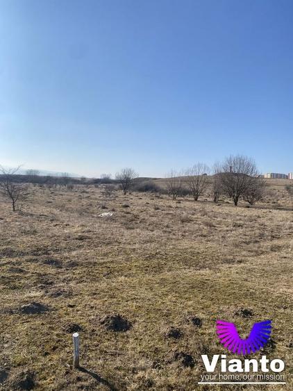 Teren agricol extravilan de 1000 mp, în Șelimbăr