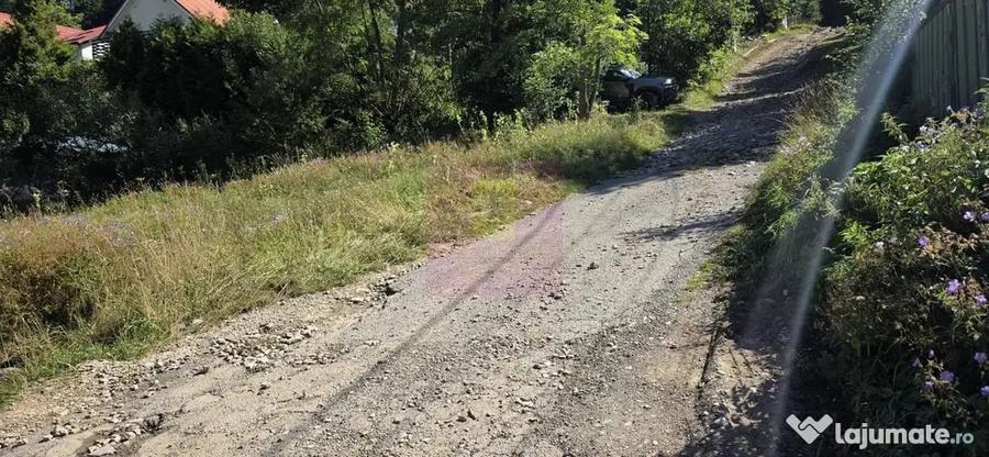 Teren în Zamora