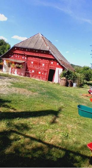 Casă cu 2 camere în Ariniș