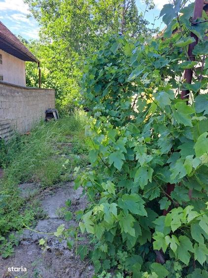 Casă cu 2 camere cu Teren 256 Mp în Central
