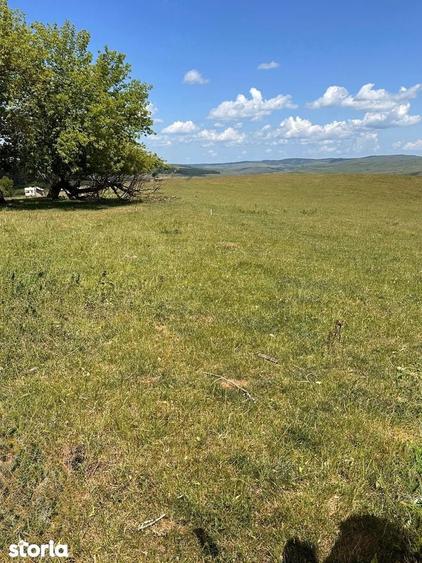 Teren de 54500 mp, în Jibert