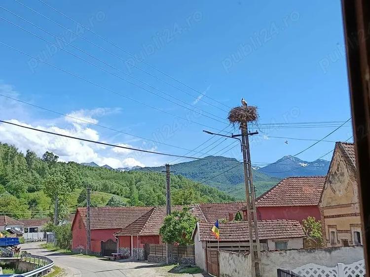Casă cu 6 camere cu Teren 1500 Mp în Valea
