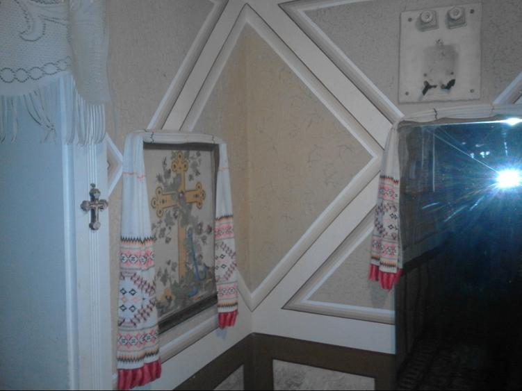 Casă individuală cu 5 camere cu Teren 4820 Mp în Belinț