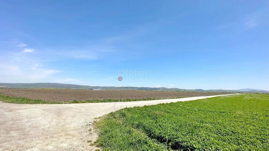 Teren Construcții intravilan de 60000 mp, în Feldioara