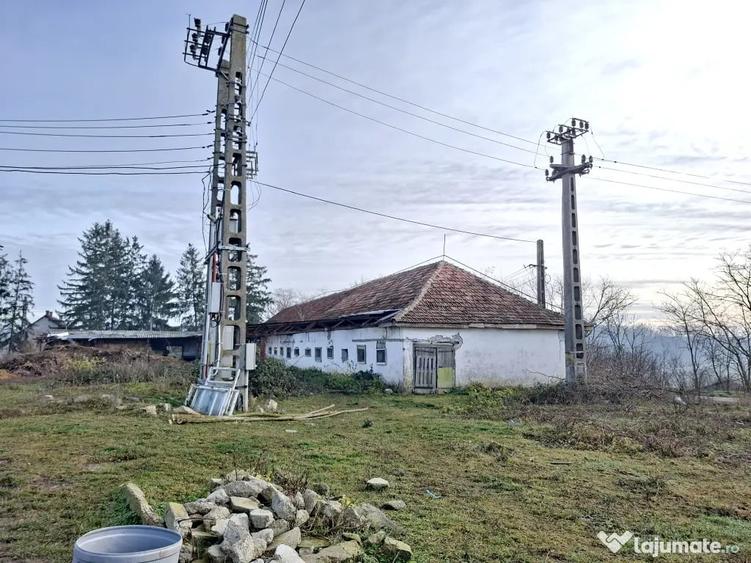 De vanzare 1 ha teren intravilan cu 2 grajduri acoperite cu tigla - 6