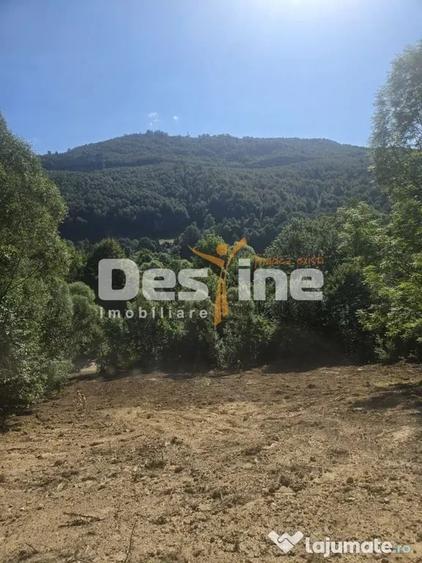 Teren în Teșila