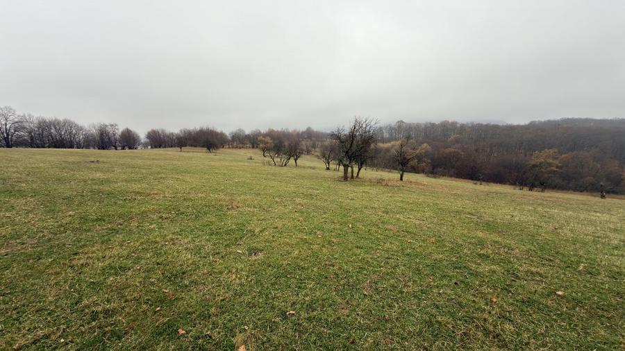 Teren agricol de 35000 mp, în Cisnădioara