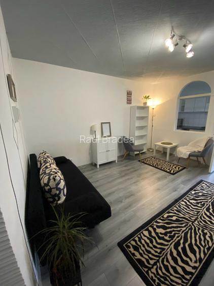 Apartament o camera Cantemir, Salca