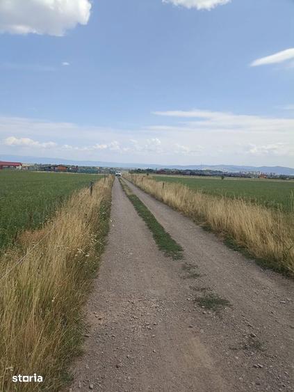 Teren de 400 mp, în Central