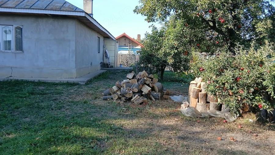 Teren de 650 mp, în Barați