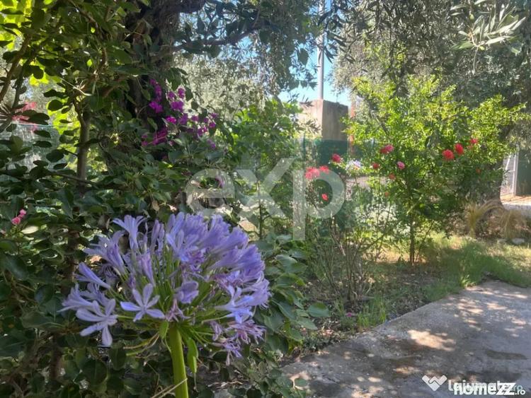 Randament 9.5% Afacere la cheie / Casa de vacanta Thasos Gre - 4