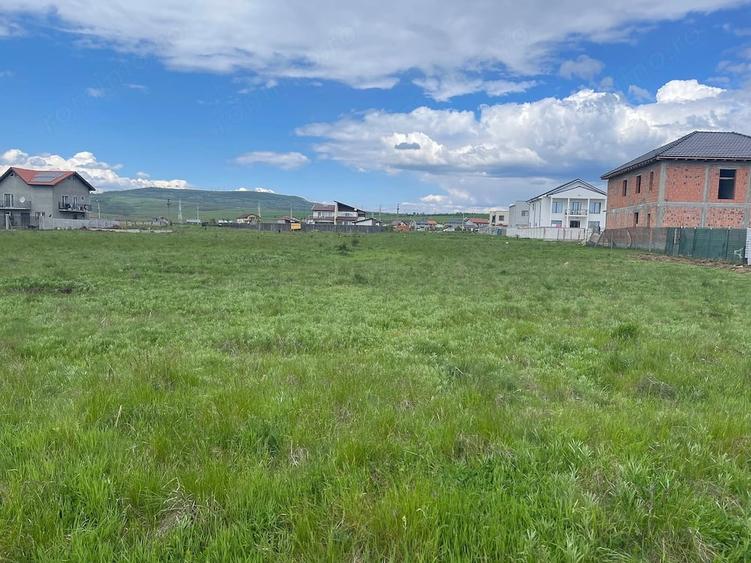 Teren de 435 mp, în Central