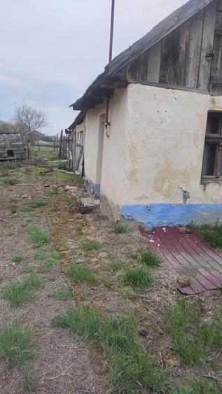 Vand casa - 3