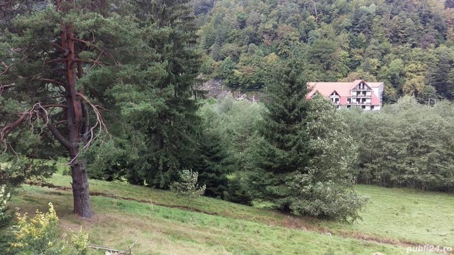 Vand teren pentru locuinta casa de vacan?a in Timi?ul de Jos, Sacele, Bra?ov - 3