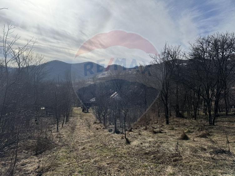 Teren Construcții intravilan de 1271 mp, în Izvoarele (Livezile)