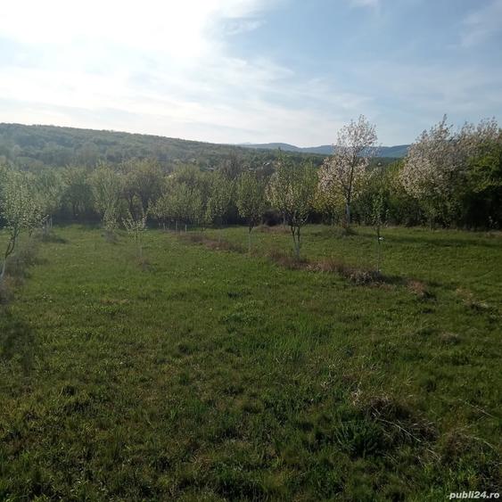 Teren de 7700 mp, în Dumbrăveni
