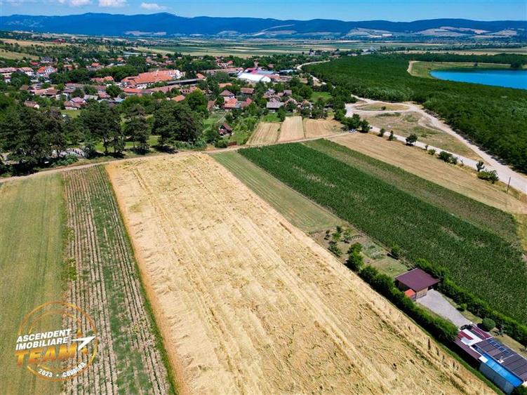 Teren agricol extravilan de 2268 mp, în Valea Crișului