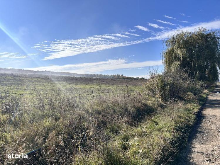Teren Cighir extravilan 5 ha - 25 ha / 700 EURO AR - 1
