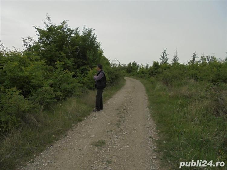 Teren de 5000 mp, în Răzvad