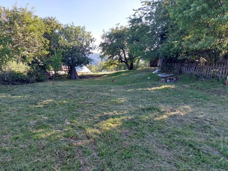 Teren de 5353 mp, în Horea