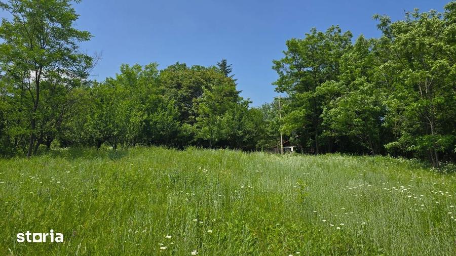 Teren de vanzare 6.352 mp Slavu (Prahova), extravilan, cale de acces - 3