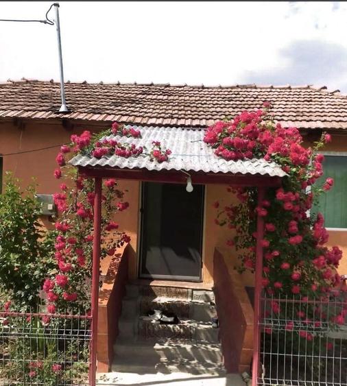 Casă individuală cu 3 camere cu Canalizare în Dejești