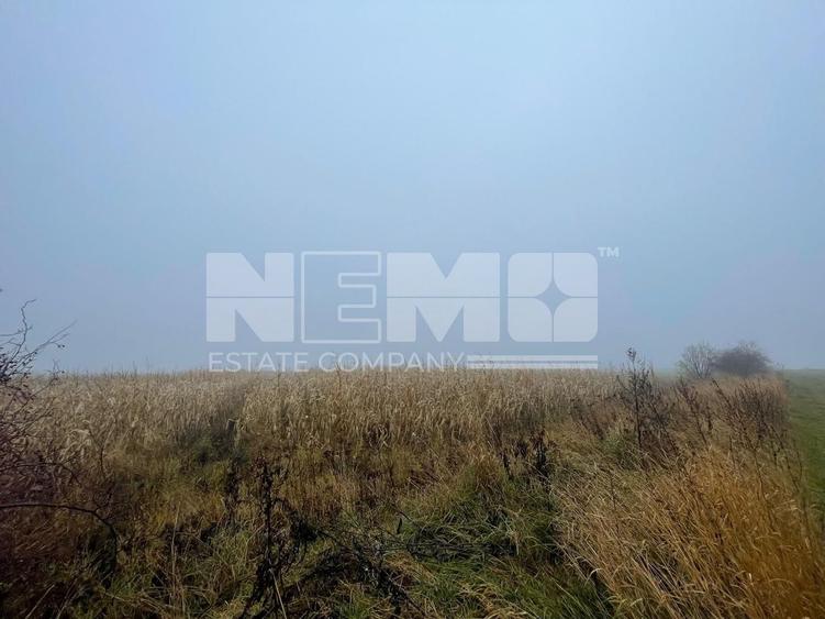 Teren agricol extravilan de 28400 mp, în Dărmănești